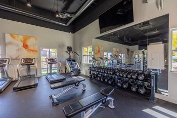 Free weights area